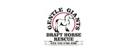 Gentle Giants Draft Horse Rescue