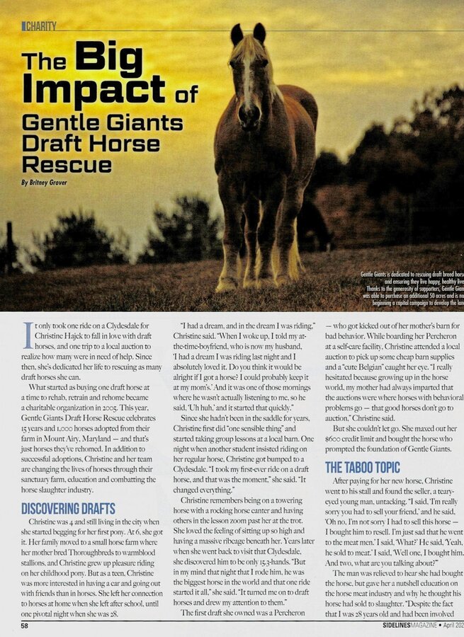 Sidelines Magazine feature on Gentle Giants Draft Horse Rescue, page 58