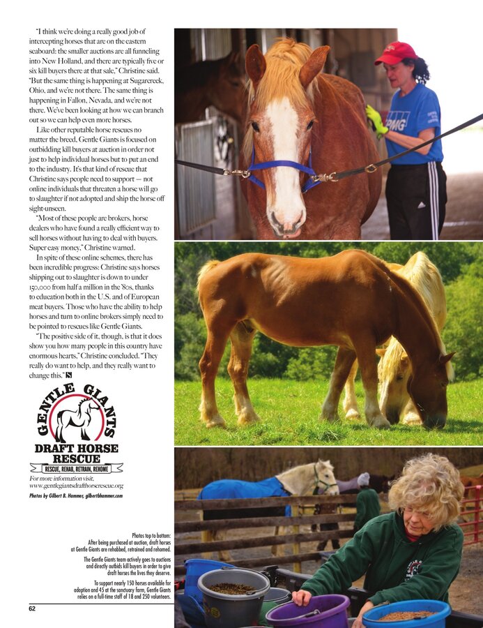 Sidelines Magazine feature on Gentle Giants Draft Horse Rescue, page 60
