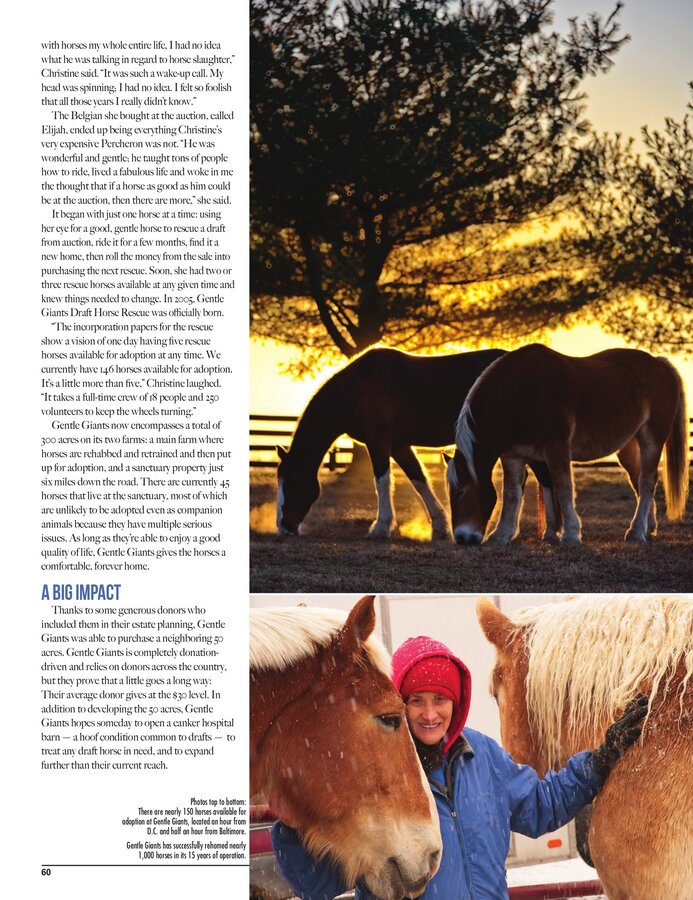 Sidelines Magazine feature on Gentle Giants Draft Horse Rescue, page 62